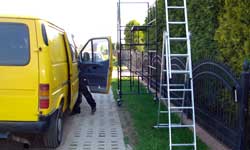 Cięcie i pielęgnacja żywopłotu Słupsk