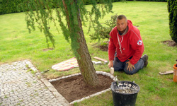 Pielęgnacja ogrodu Słupsk
