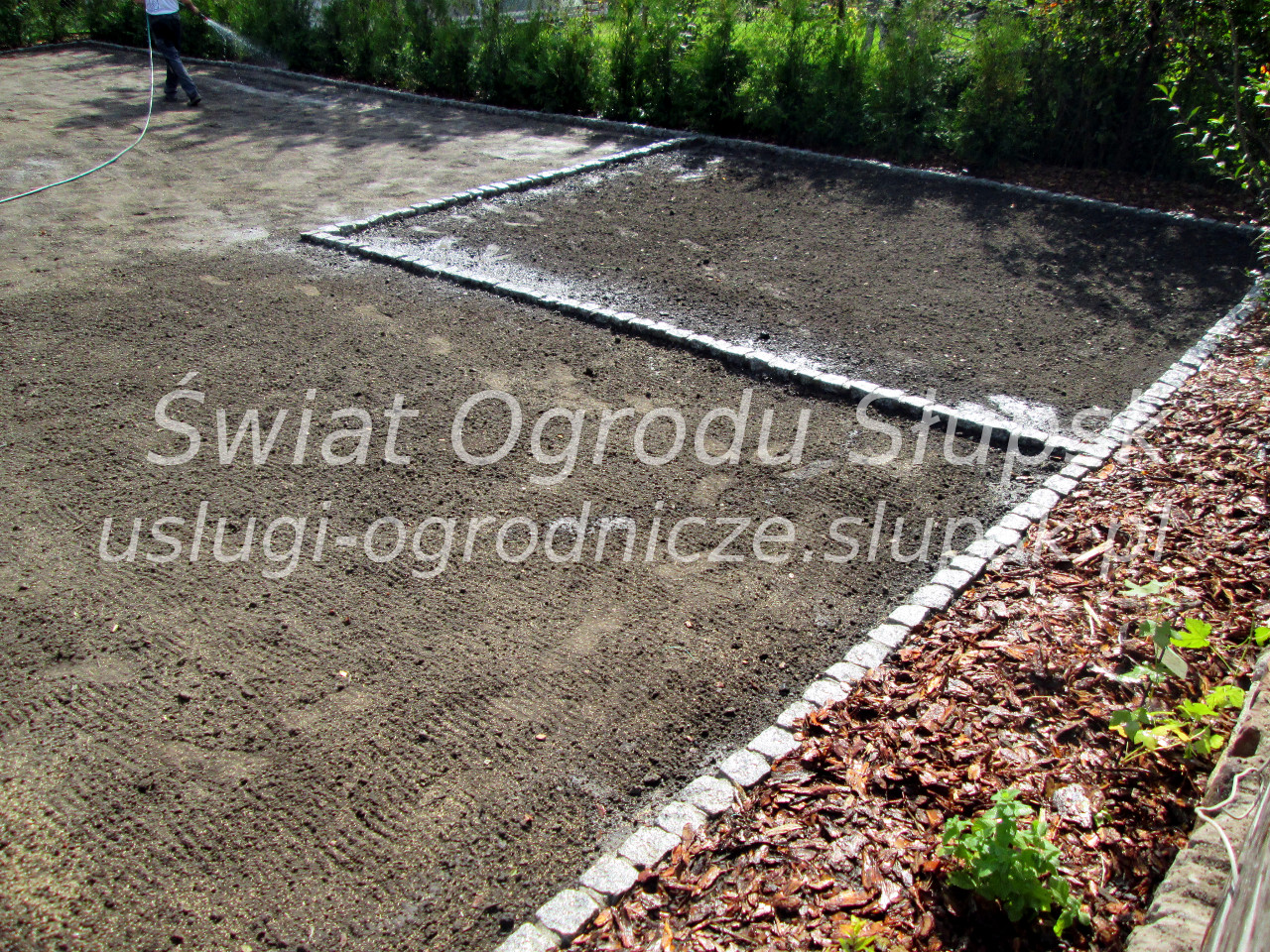 Trawnik w ogrodzie i na posesji - Galeria zdjęć 02 - zdjęcie 02