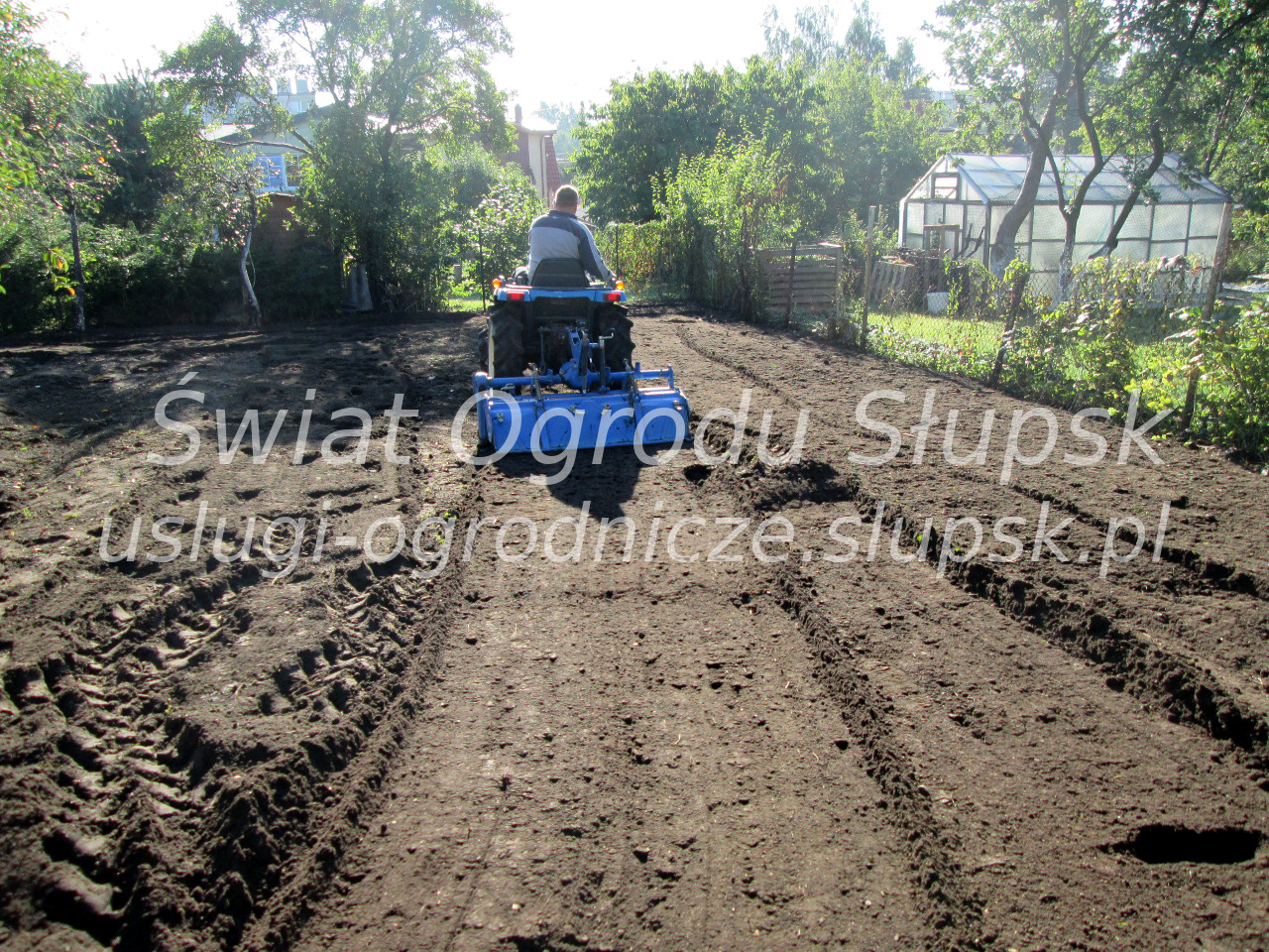 Trawnik w ogrodzie i na posesji - Galeria zdjęć 02 - zdjęcie 09